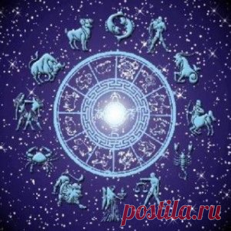 Звездное меню