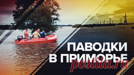 В Приморье ликвидируют последствия паводка — видео. В результате паводка, вызванного сильными дождями, в Приморском крае оказались отрезаны 28 населённых пунктов, более 2,5 тыс. человек эвакуированы. Пострадали 15 муниципалитетов. В Уссурийском, Октябрьском и Надеждинском муниципальных образованиях без электроснабжения остаются 91 многоквартирный и 1730 частных домов. На территории края развёрнуты и функционируют 12 пунктов временного размещения. Спасатели продолжают оказывать необходимую…