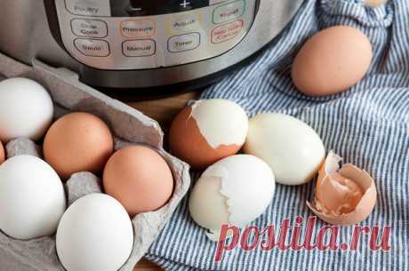 Яйцо: Интересные факты об одном из самых популярнейших продуктов в мире