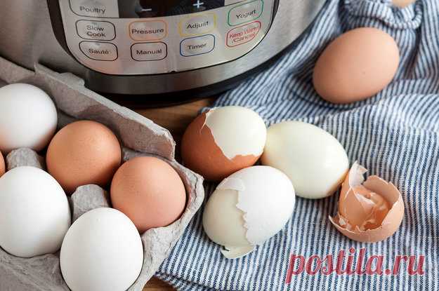 Яйцо: Интересные факты об одном из самых популярнейших продуктов в мире