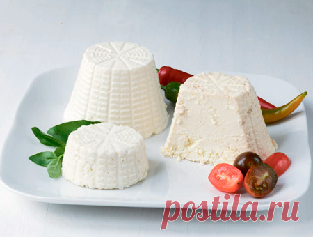 Домашний сыр: как приготовить? 2 рецепта и 2 полезных завтрака. Молочные продукты