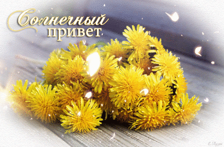 Солнечный привет!