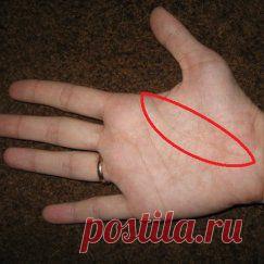 Продукты, вызывающие рак