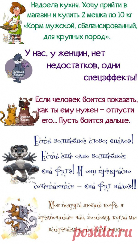 (+1) тема - Лучшие воспитатели - это МУЖЧИНЫ... | ВСЕГДА В ФОРМЕ!