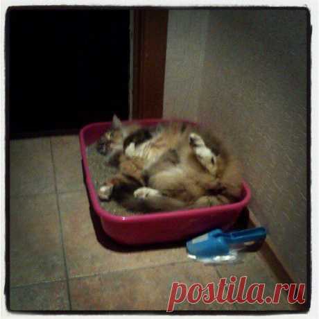 Интересные новости