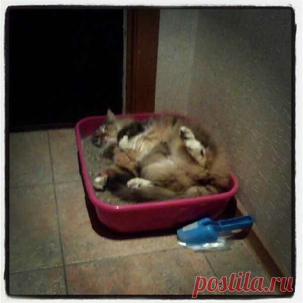 Интересные новости