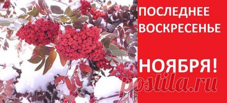 Неспешными и тихими шагами
На смену осени зима идёт,
Из царства льда студёными ветрами
- Морозный шлейф торжественно плывёт
Узорным, белым, тонким покрывалом
Ложится на пригорки и поля.
А под багрово-жёлтым одеялом
Так сладко спит уставшая земля.
Ей ветер колыбель свою заводит
И чей-то след блестит цветным стеклом...
А по деревьям кто-то кистью водит,
И ветки все сверкают хрусталём.
Немой покой окутывает дымка,
Деревья уж цветные видят сны.
Здесь ноябрём написана картинка,
Все сно