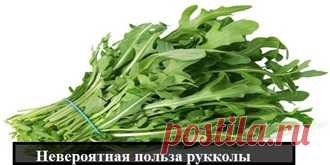 Невероятная польза рукколы: 7 свойств, из-за которых ее стоит добавить в свой рацион.