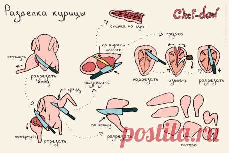 Разделка курицы