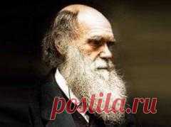 12 февраля в 1809 году родился Чарльз Дарвин-БИОЛОГ