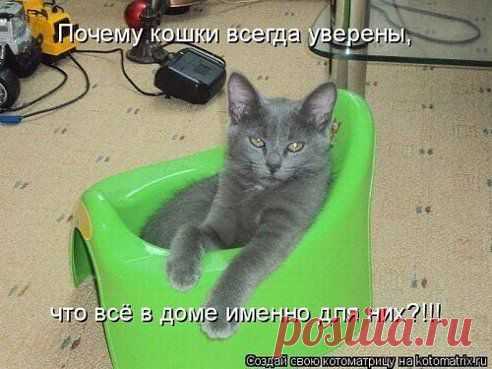 Одноклассники