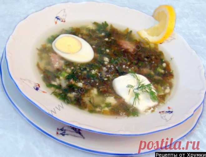 Щавелевый Суп с мясом из щавеля