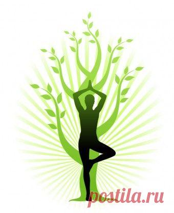 Народные рецепты, профилактика заболеваний