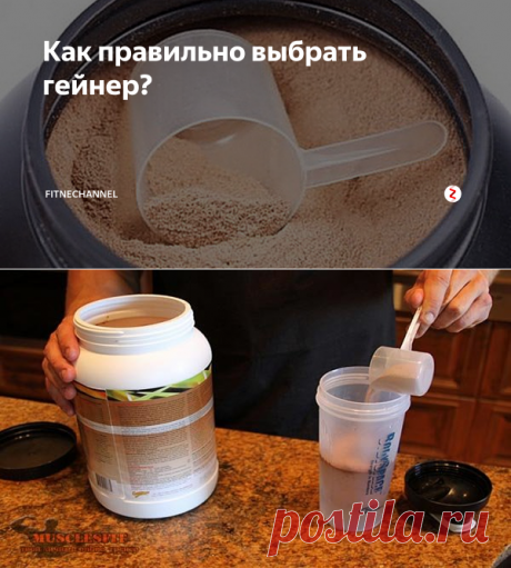 Как правильно выбрать гейнер? | fitnechannel | Яндекс Дзен