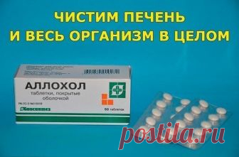 ЧИСТИМ ПЕЧЕНЬ И ВЕСЬ ОРГАНИЗМ В ЦЕЛОМ. 

Программа очищения рассчитана на 14 дней, три раза в в день принимать таблетки Аллохола. 
1-й день - по 1 таблетке 3 раза в день; 
2-й день - по 2 таблетке 3 раза в день; 
3-й день - по 3 таблетки 3 раза в день; 
4-й день - по 4 таблетки 3 раза в день; 
5-й день - по 5 таблеток 3 раза в день; 
6-й день - по 6 таблеток 3 раза в день; 
7-й день - по 7 таблеток 3 раза в день; 
8-й день - по 7 таблеток 3 раза в день, далее по-убывающей,...