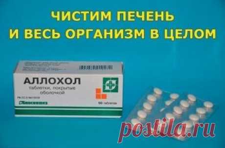 ЧИСТИМ ПЕЧЕНЬ И ВЕСЬ ОРГАНИЗМ В ЦЕЛОМ. 

Программа очищения рассчитана на 14 дней, три раза в в день принимать таблетки Аллохола. 
1-й день - по 1 таблетке 3 раза в день; 
2-й день - по 2 таблетке 3 раза в день; 
3-й день - по 3 таблетки 3 раза в день; 
4-й день - по 4 таблетки 3 раза в день; 
5-й день - по 5 таблеток 3 раза в день; 
6-й день - по 6 таблеток 3 раза в день; 
7-й день - по 7 таблеток 3 раза в день; 
8-й день - по 7 таблеток 3 раза в день, далее по-убывающей,...