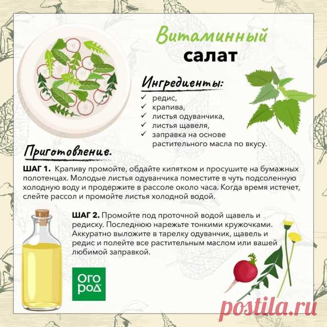 Витаминный салат с весенними травами