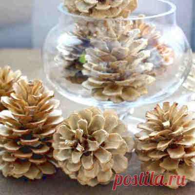 Как отбелить сосновые шишки для новогоднего декора