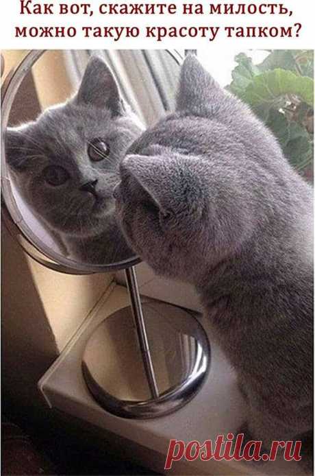 Мой Мир@Mail.Ru