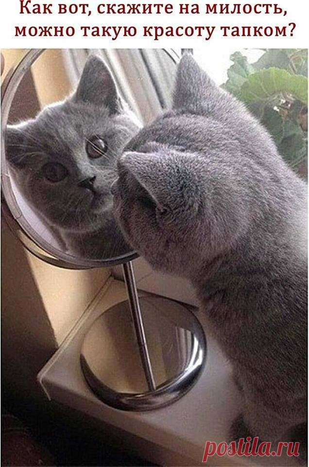 Мой Мир@Mail.Ru