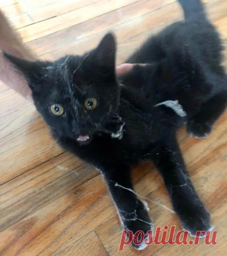 15 раз Мать-природу ловили со спущенными штанами