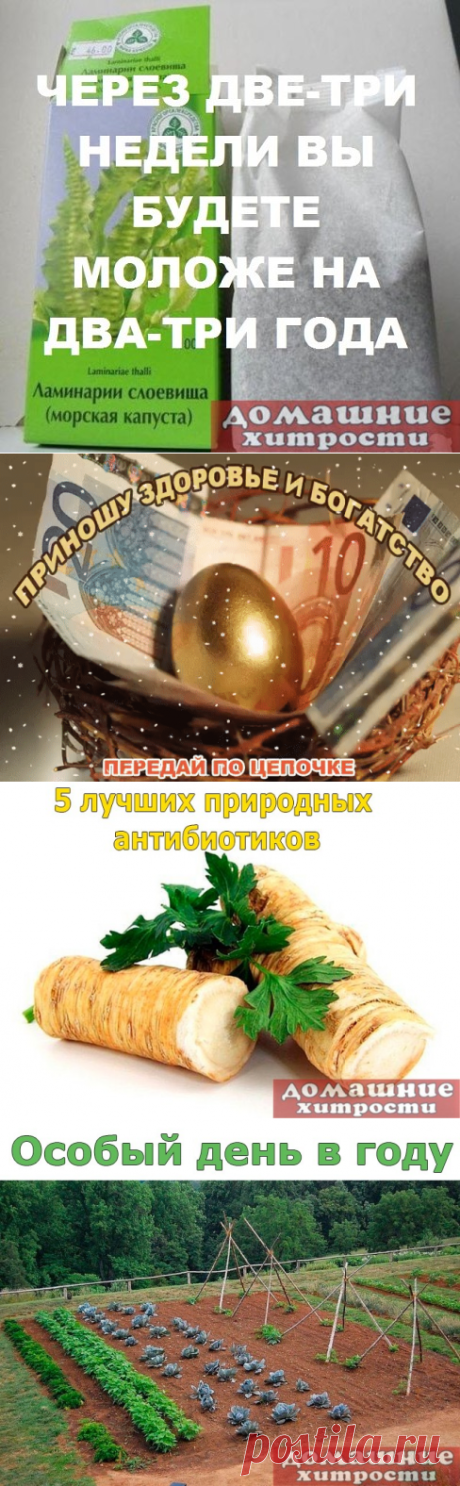 Ламинарии-маска