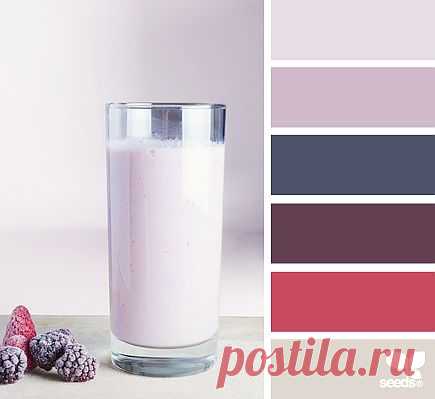 Design Seeds® | find your palette