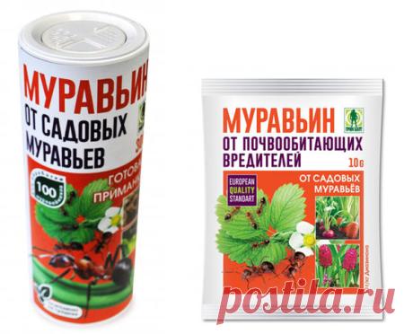 Препараты для борьбы с вредителями: проволочником, муравьями и медведкой