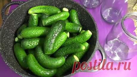 Огурцы на зиму как из бочки с крепким ядреным вкусом