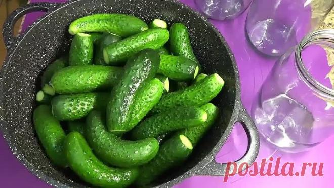 Огурцы на зиму как из бочки с крепким ядреным вкусом