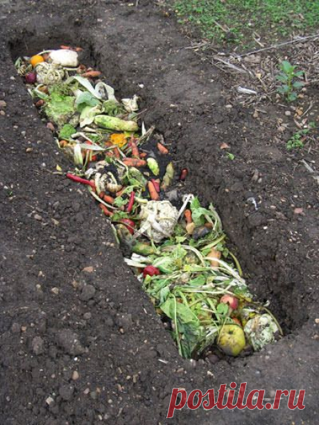 As a gardener and urban farmer you come to appreciate and treasure compost, or as I affectionately call it, “Black Gold”. Composting itself is actually pretty easy and there are several methods…