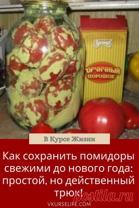 Как сохранить помидоры свежими до нового года: простой, но действенный трюк! Помидоры на зиму, помид