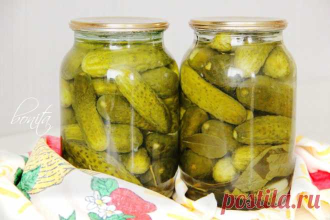 Огурцы маринованные способом сухой стерилизации.