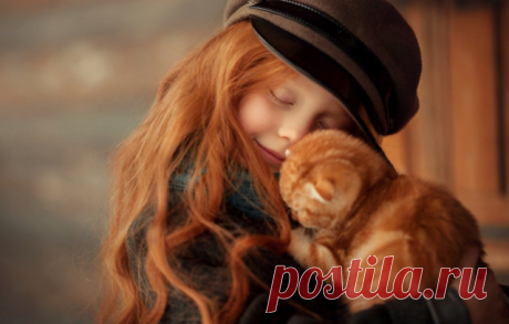 История с котятами | Бумажный Слон | Дзен