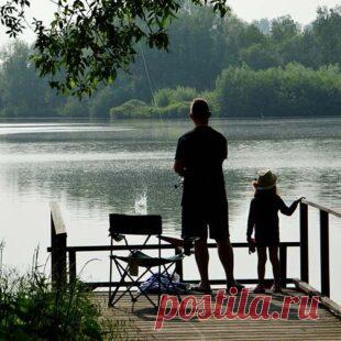 Какая рыба водится на Дону. Полный список рыб Дона - Рыбколов!