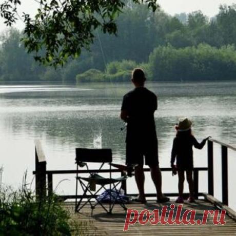 Какая рыба водится на Дону. Полный список рыб Дона - Рыбколов!