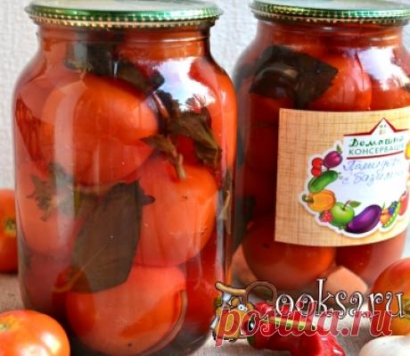 Помидоры маринованные с базиликом и яблочным уксусом фото рецепт приготовления