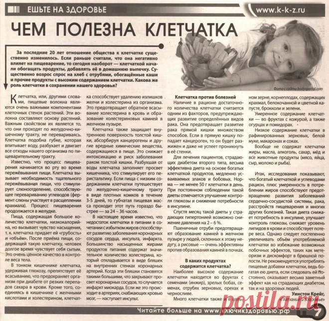 Чем полезна клетчатка