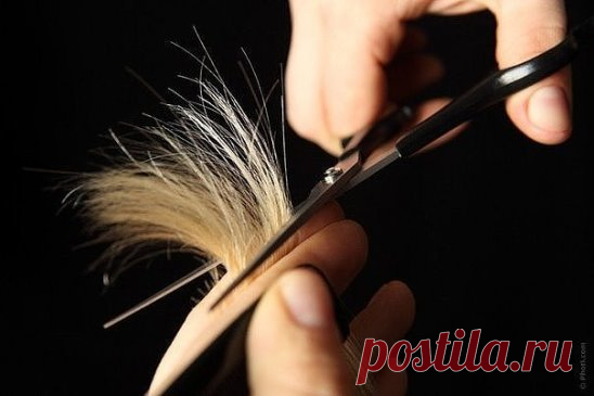 В какой день нужно стричься
- ПОНЕДЕЛЬНИК (Луна). Выбирайте для
стрижки этот день, если хотите избавиться от грусти и печали. Вместе с
остриженными волосами вас покинет большое количество негативных эмоций,
неразрешенных и накопившихся проблем.
В понедельник нельзя стричься рожденным во вторник, среду, воскресенье.
-ВТОРНИК (Марс). Хорошо стричься тем, у кого ослабленное физическое
здоровье и кому надоела монотонность в жизни, но не хватает активности,
смелости и волевых качеств.
И отложите ст