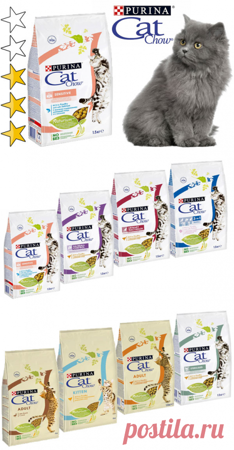 Корм для кошек Кэт Чау (Cat Chow): обзор, виды, состав, отзывы