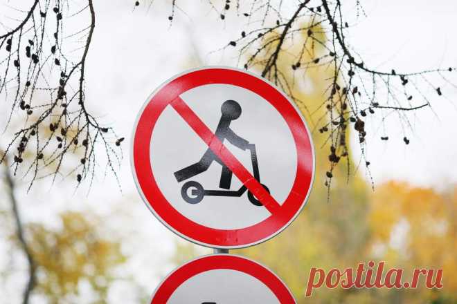 31-10-24--ЭЛЕКТРОСАМОКАТЫ предлагают УБРАТЬ с ТРОТУАРОВ с 2031 г
