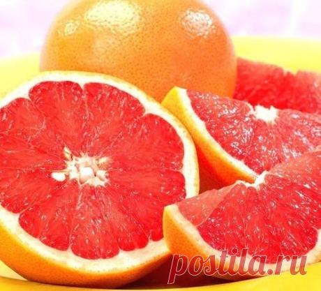 Горькие, но вкусные продукты с лечебным эффектом