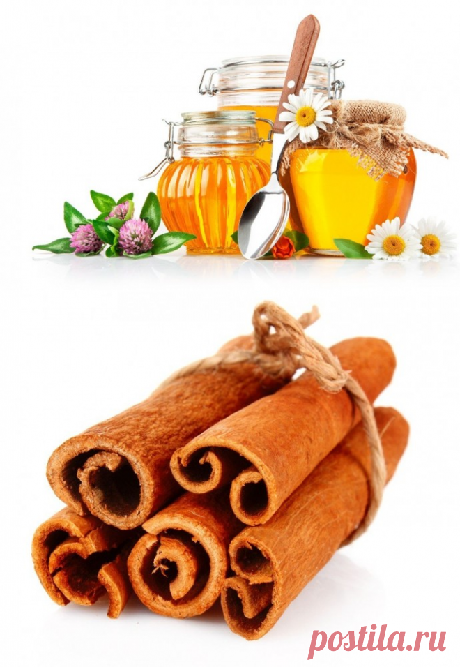 Мед и корица для вашего здоровья