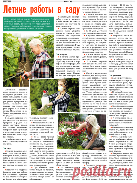Летние работы в саду