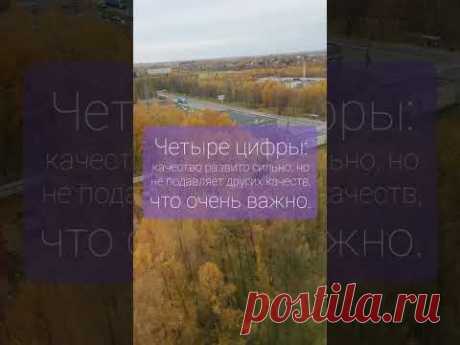 Как отличаются количественные характеристики в психоматрице