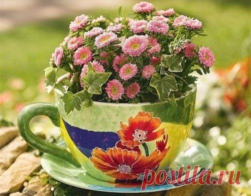 Интересные новости