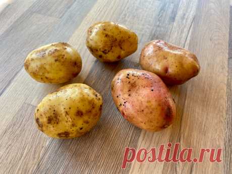 Настоящий рецепт драников, как в СССР, никакой муки, моя семья готовит только так, вкуснее рецепта не знаю  Сохраните рецепт себе на стену, чтоб не потерять.
Ингридиенты: Картофель - 2 шт.
Лук репчатый - 1 шт.
Чеснок - 3 зубчика Мука - для панировки Масло растительное - для жарки Соль - по вкусу Перец черный молотый - по вкусу Приготовление: 1. Отварить картофель в мундире до готовности, остудить и очистить.
2. Лук очистить и нарезать кубиками.
3. Зелень порубить.
4. Чеснок очистить и мелко по…