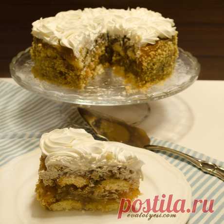 Яблочный пирог (кошка язык bisküvili)