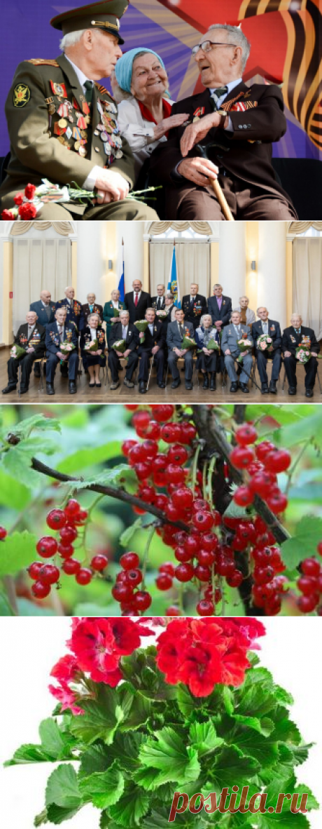 По 175 000 рублей выплатят ветеранам. Вот только не в России
К очередной годовщине Великой Победы российские ветераны получат «беспрецедентную» выплату в размере 10 000 рублей. А вот живущие в Казахстане — по 175 000 рублей. И даже Узбекистан выплатит по 86 000 рублей. Что же пошло не так? Говорят, мол, ветеранов у нас намного больше. Аж 33 000, а у более щедрых соседей — по […]
Читай дальше на сайте. Жми подробнее ➡