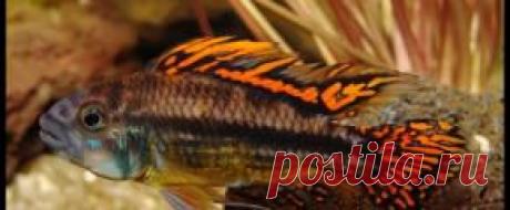 Мирный - Part 3